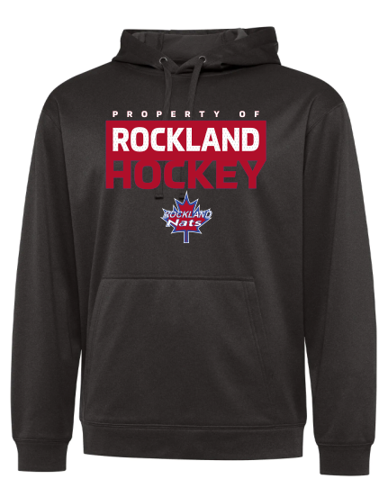 Performance Hoodie Nats