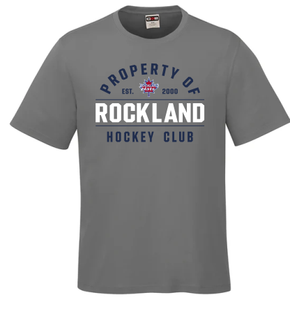 Dri fit t-shirt nats