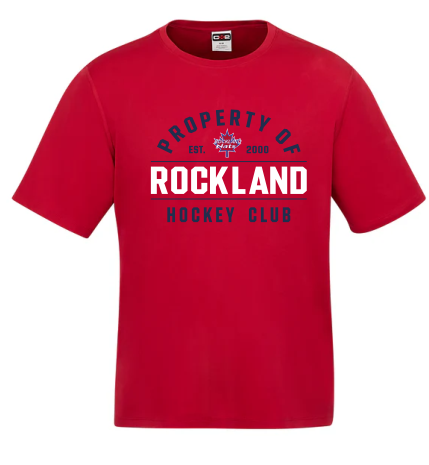 Dri fit t-shirt nats