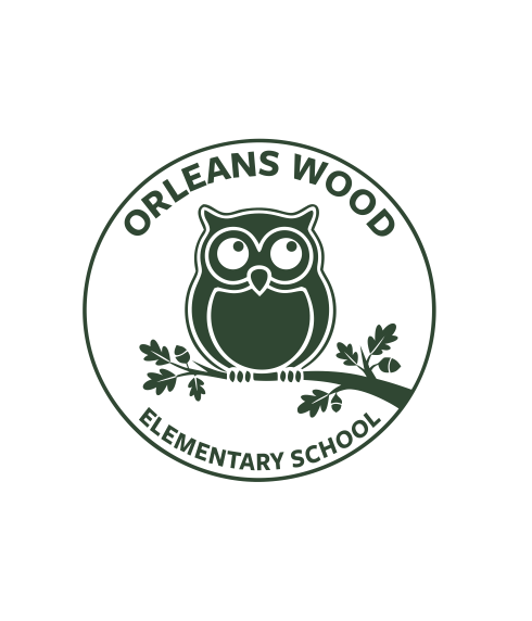 3 pack Stickers Orleans Wood