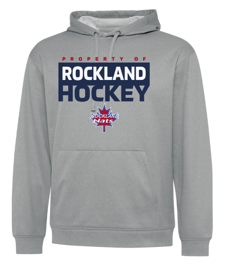 Performance Hoodie Nats