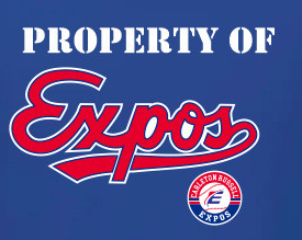 Cotton t-shirt Expo